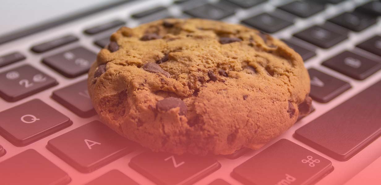 O que são os cookies e a sua importância?